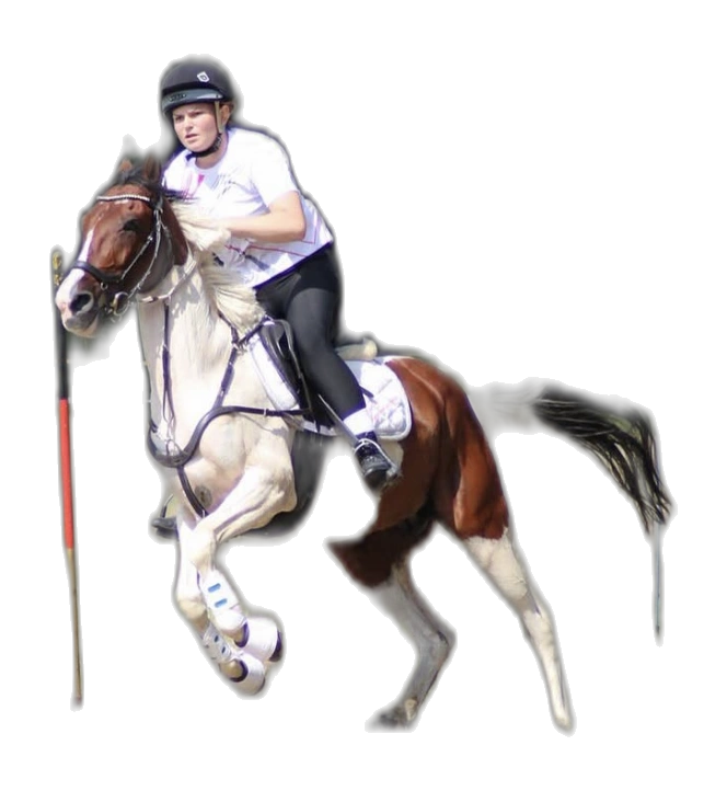 Portrait von Annabell Nußbaum