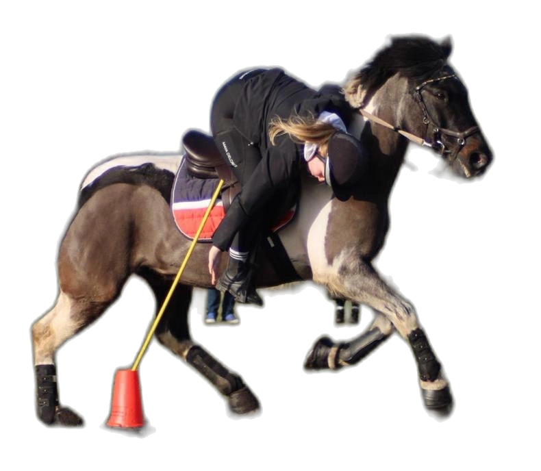 Portrait von Annika Behrens