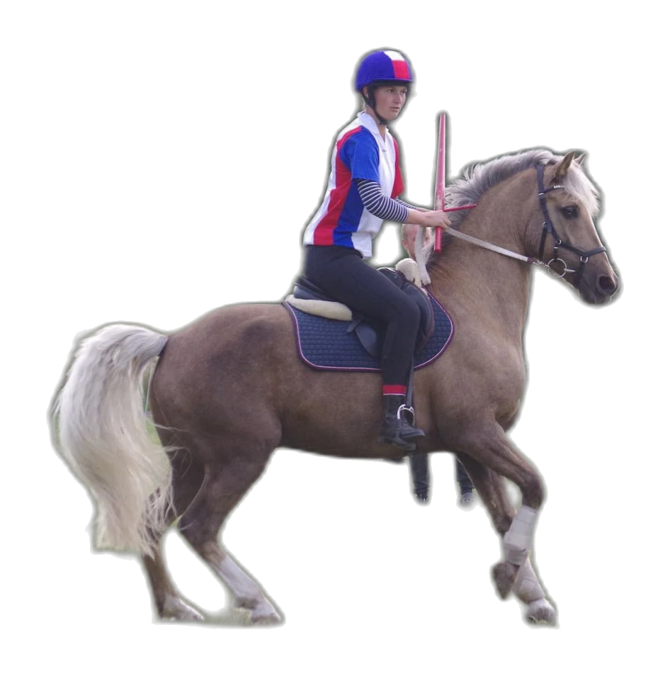 Portrait von Anna Sophie Peter