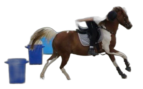 Portrait von Jana-Melina Will