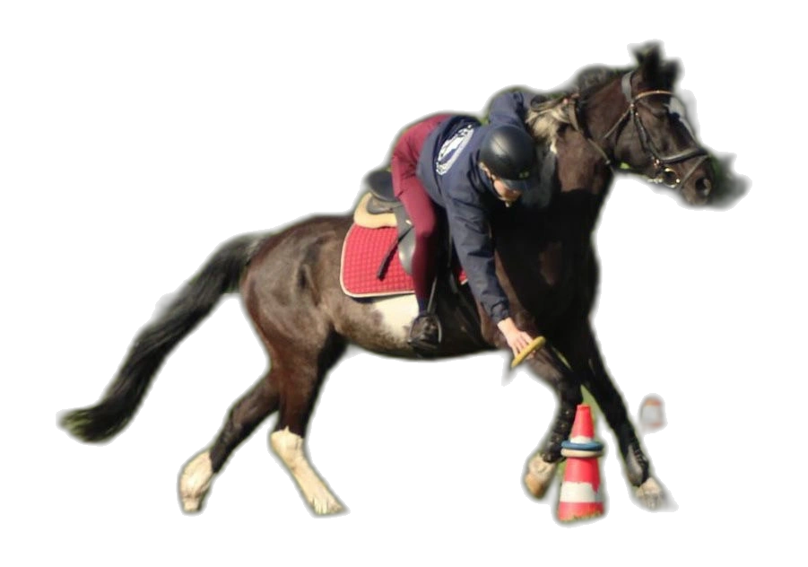 Portrait von Emma Luise Birke