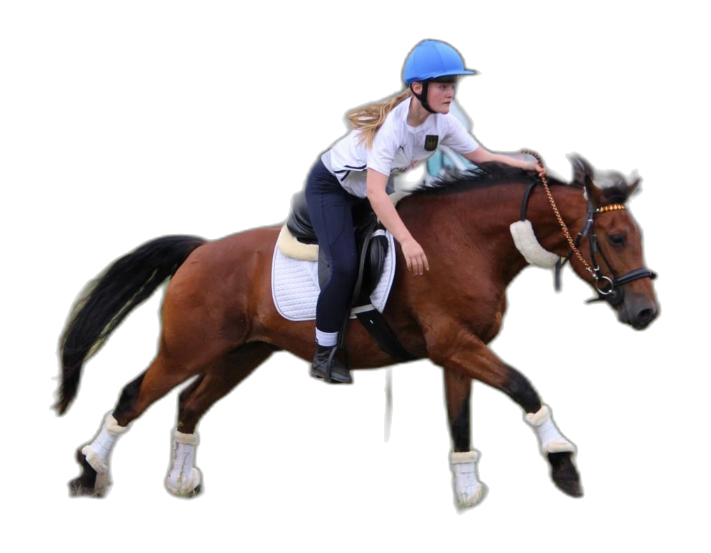 Portrait von Minna Bitzer