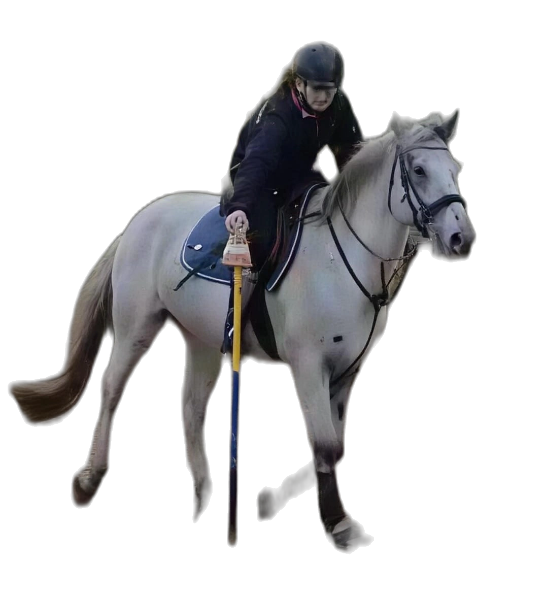 Portrait von Sarah Leisek