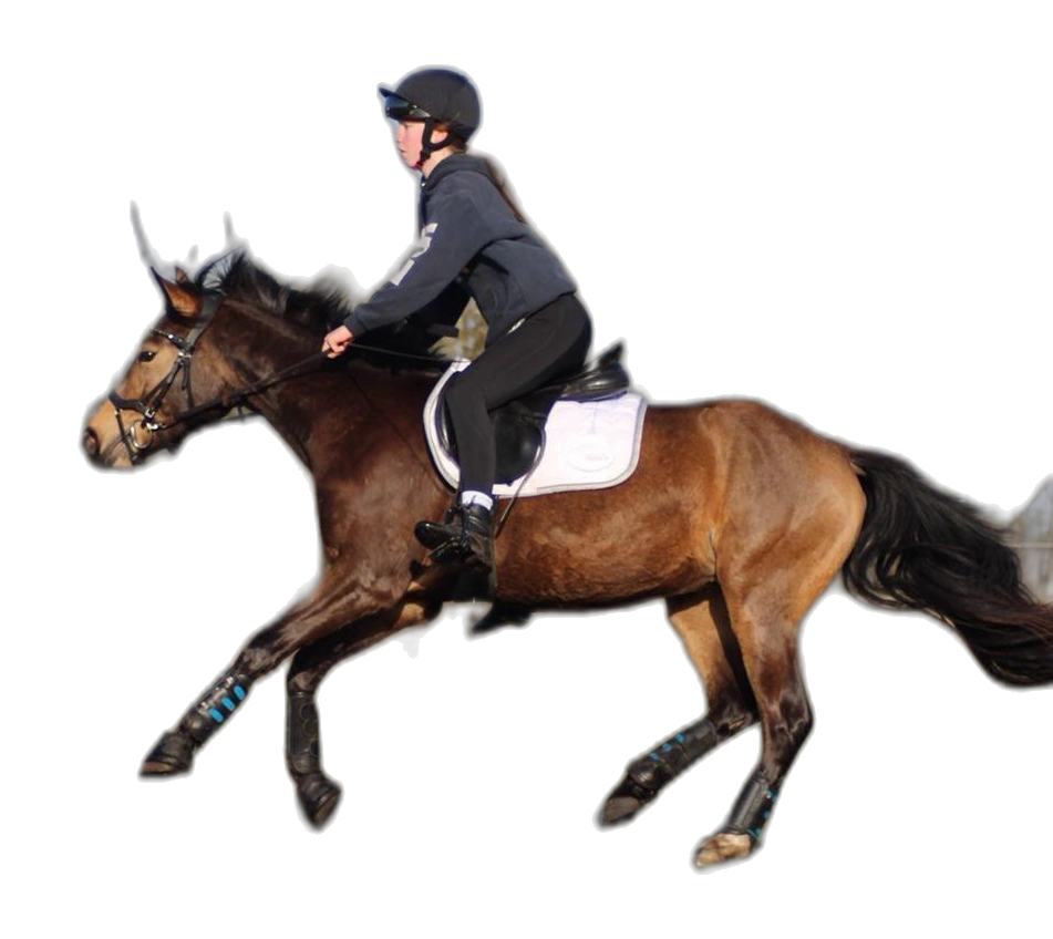 Portrait von Luisa Gronewold