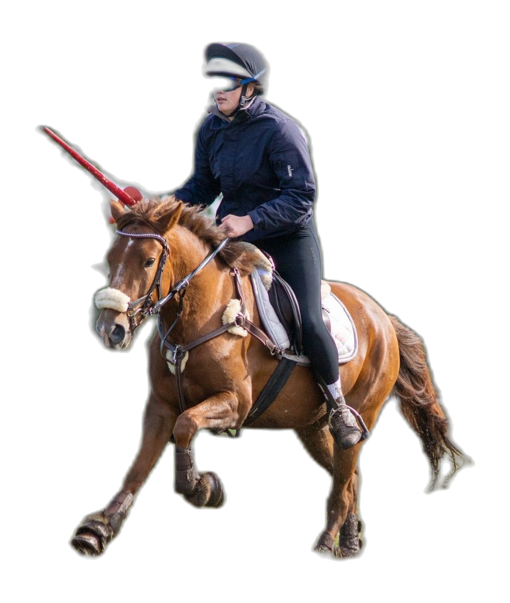 Portrait von Finja Schmidt