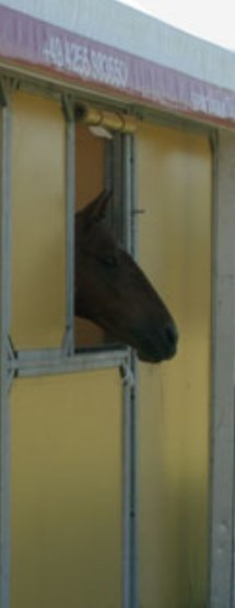 Additional Stable / Zusätzliche Stallbox