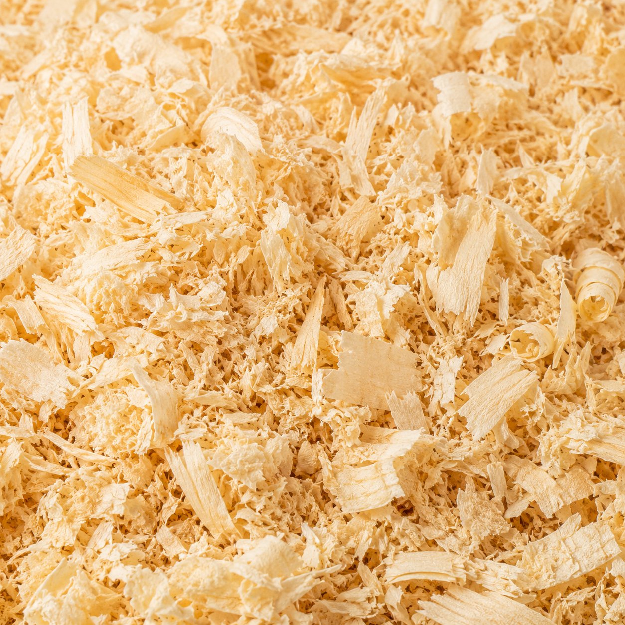 Extra Späne / Shavings